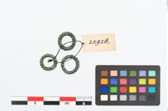 Foto von Bronzering (NHMW-PRAE-025926)